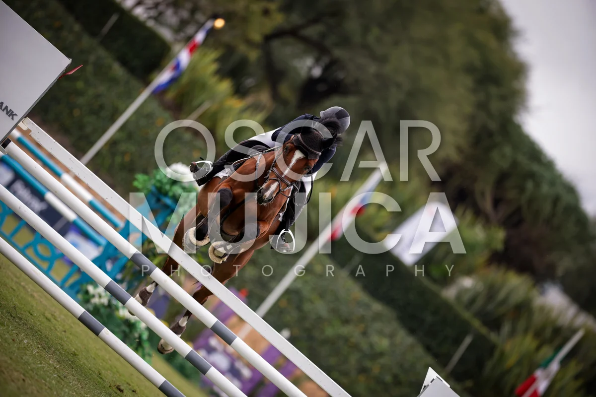 Foto de SHIRELLE MORAGREGA