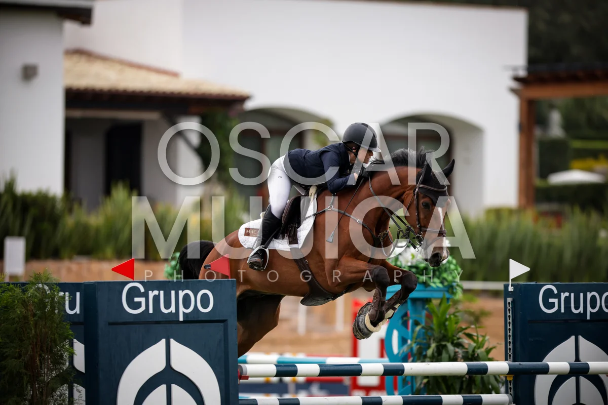 Foto de SHIRELLE MORAGREGA