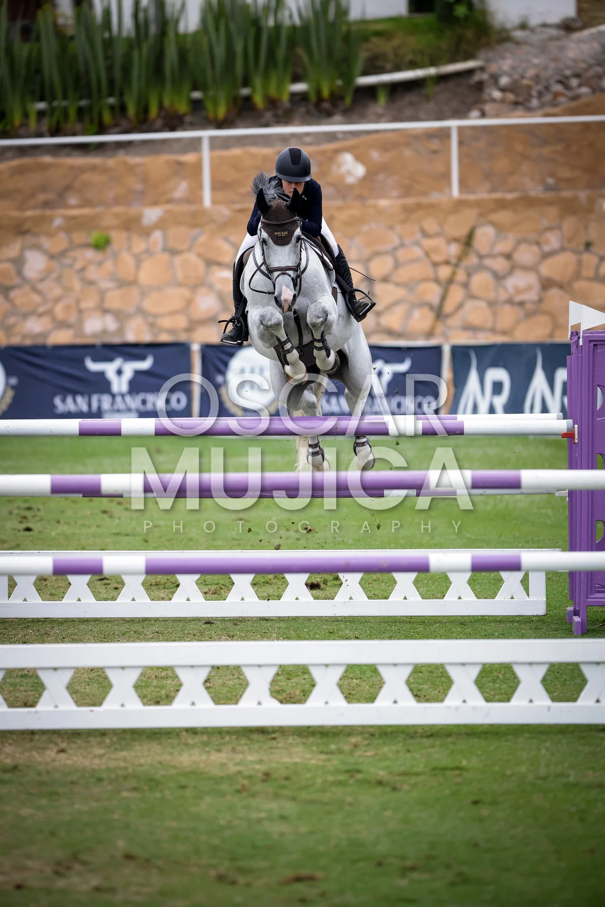 Foto de SHIRELLE MORAGREGA