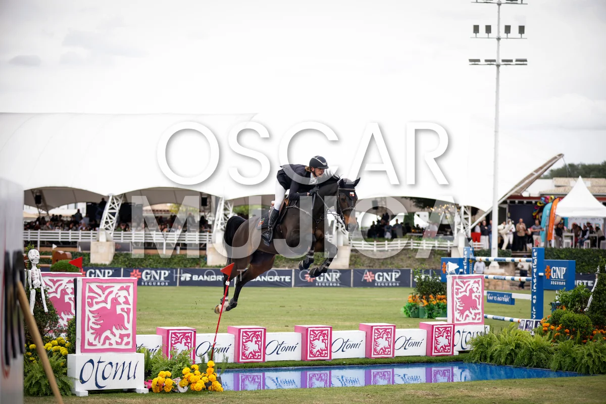 Foto de THIAGO BROWN