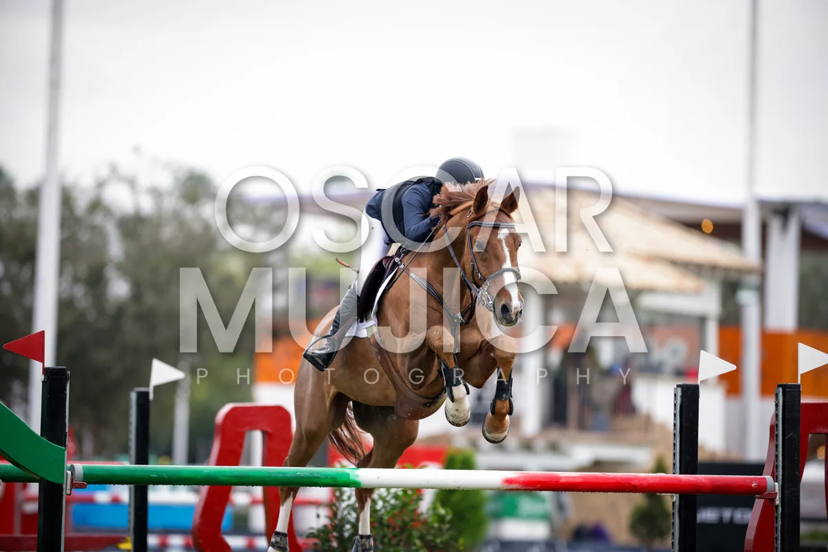 Foto de XIMENA MILMO