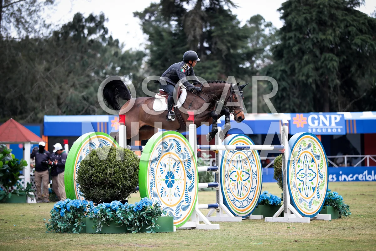 Foto de MARIA FERNANDEZ RUIZ