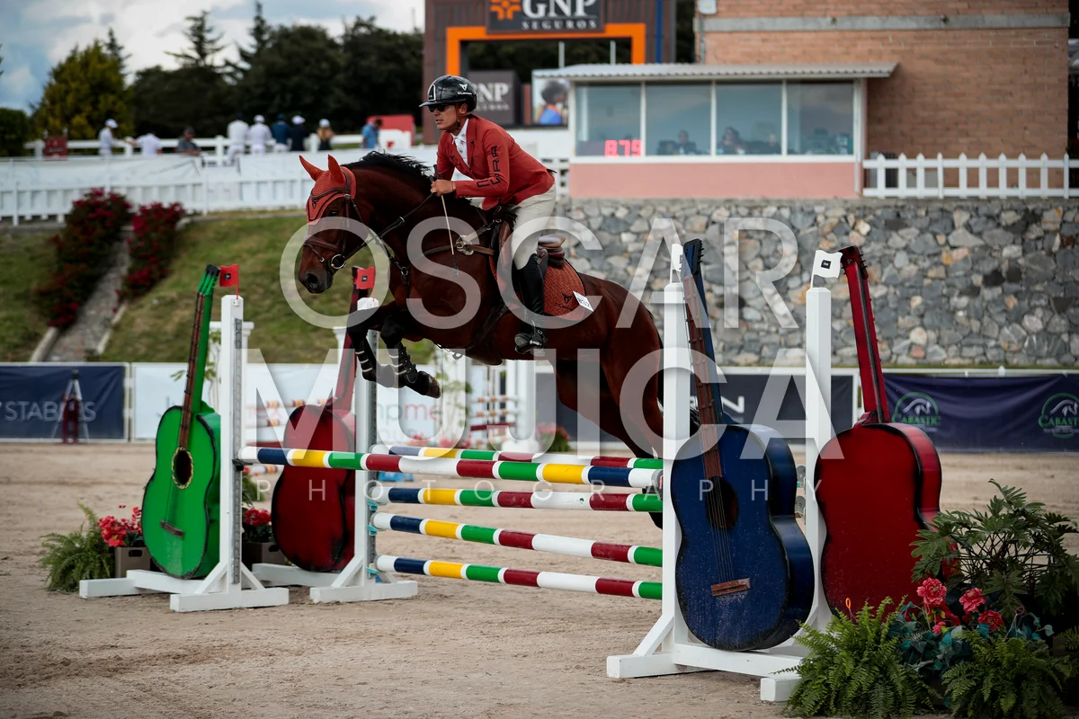 Foto de AGUSTIN CARVANTES