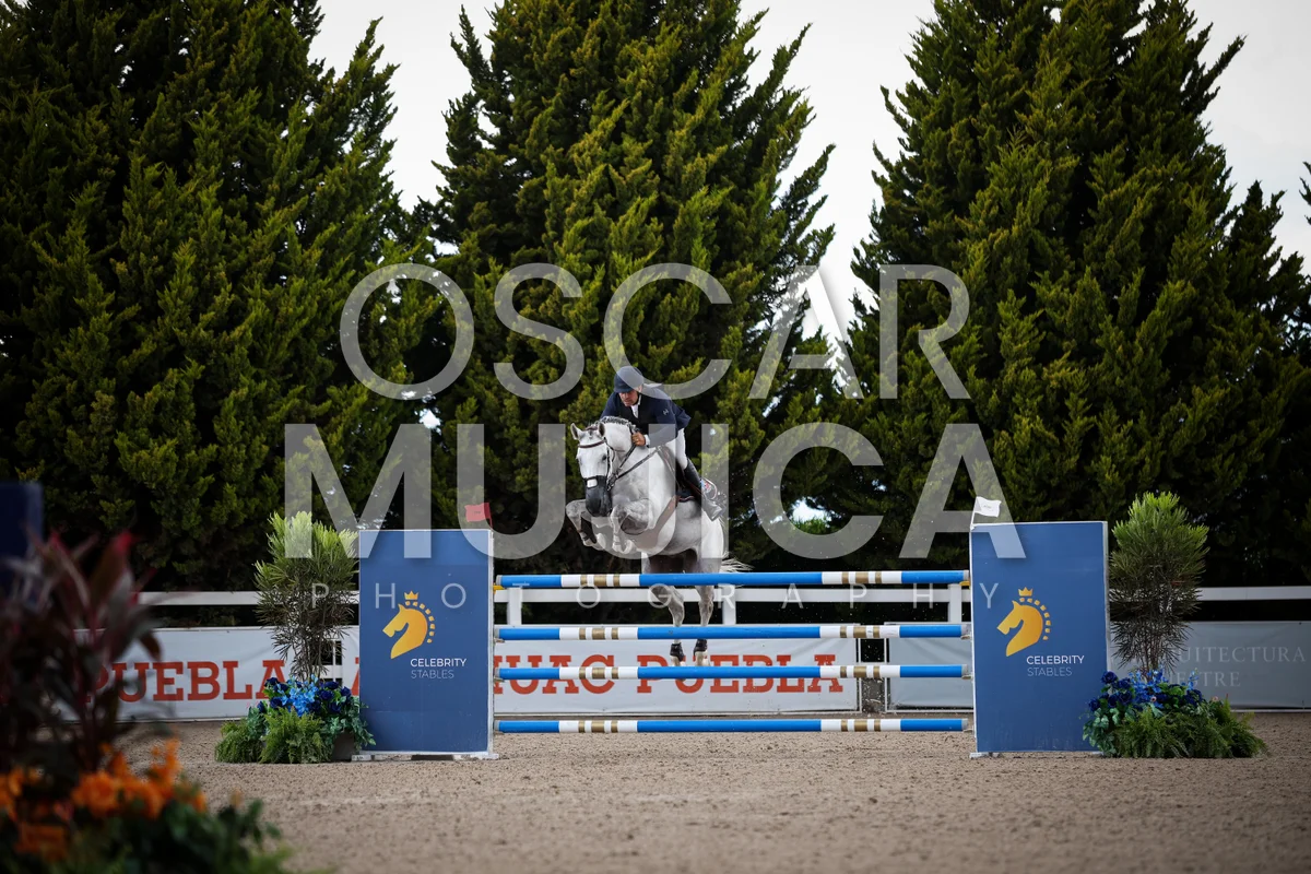 Foto de ALBERTO SANCHEZ COZAR