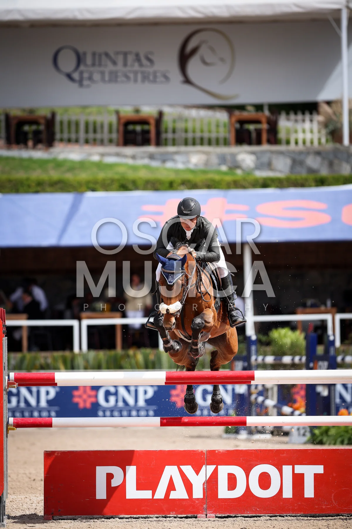 Foto de ALBERTO SCHWALM