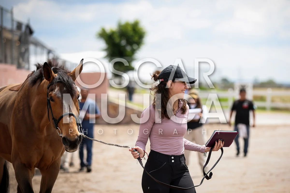 Foto de ANA BARRA
