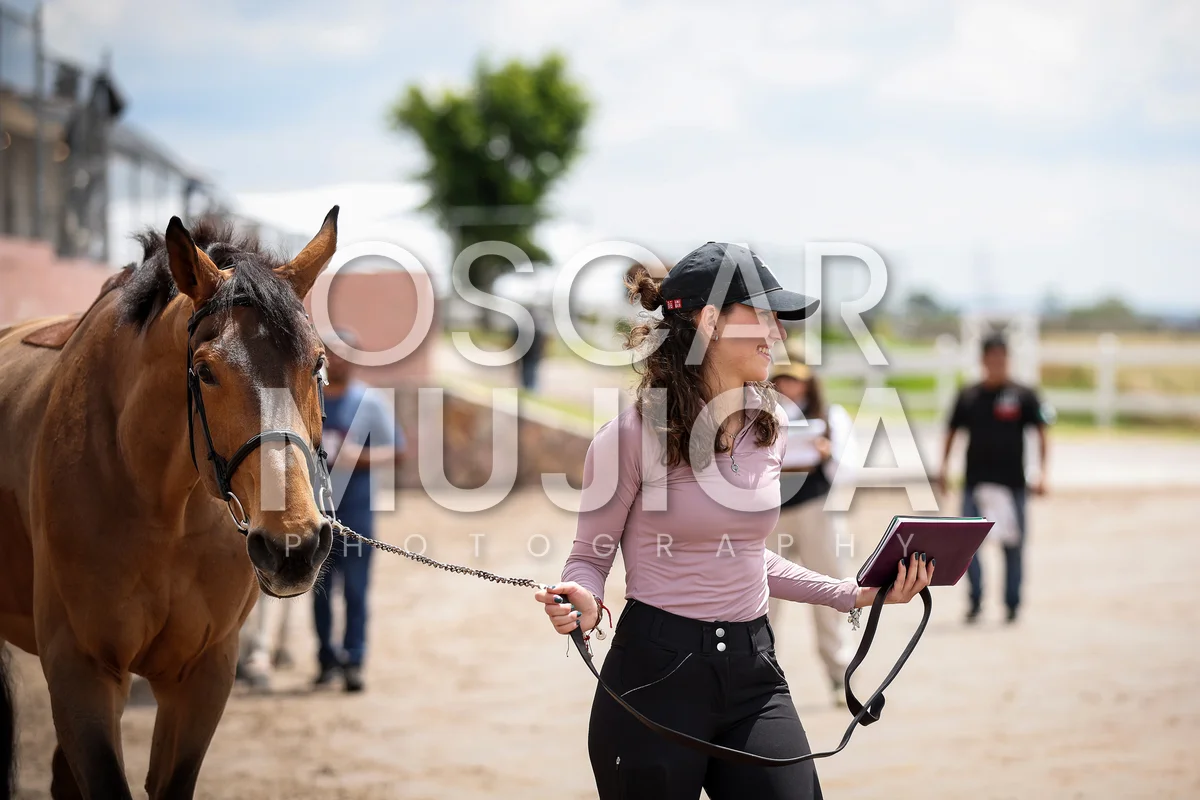 Foto de ANA BARRA
