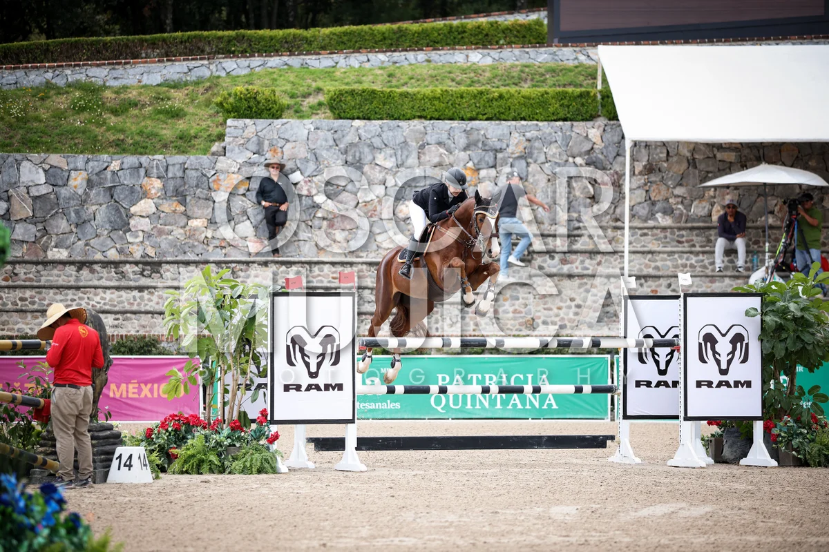 Foto de ANA BARRA