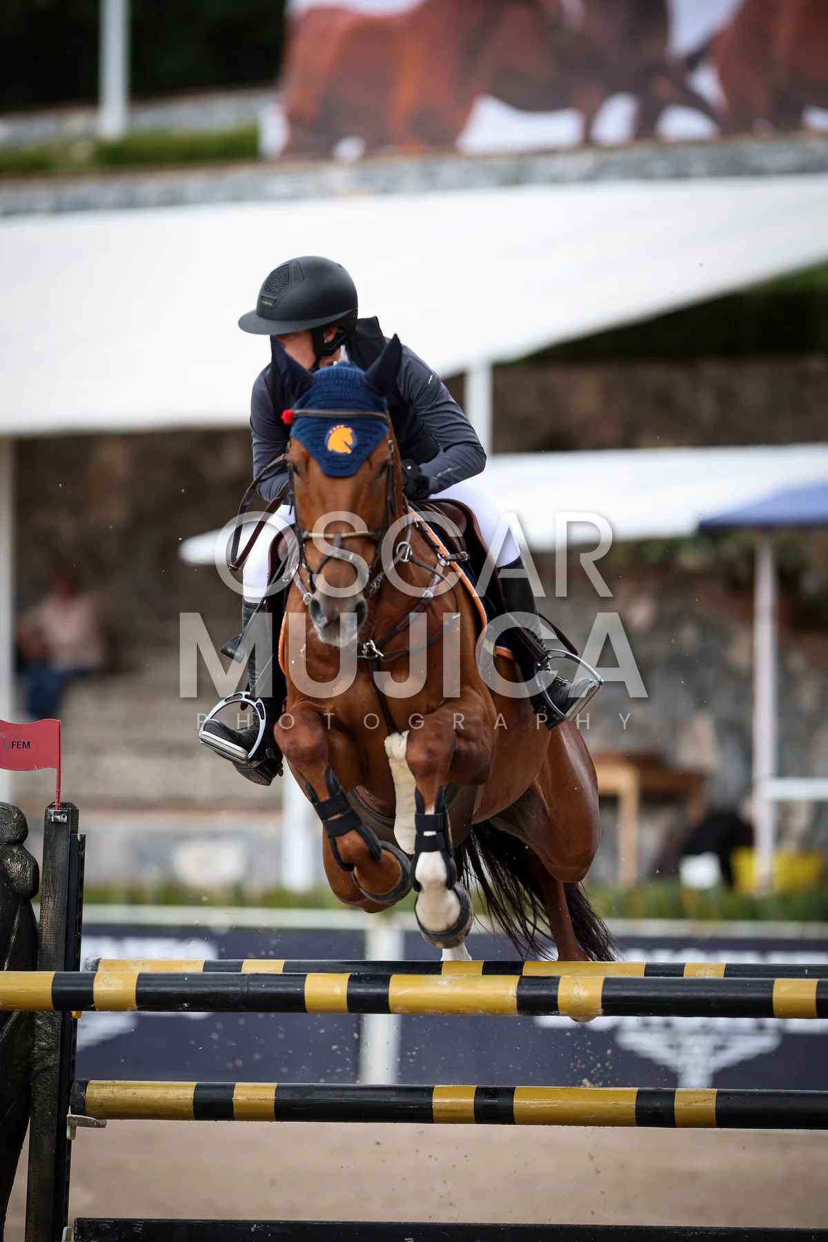 Foto de ANDREA HASSEY