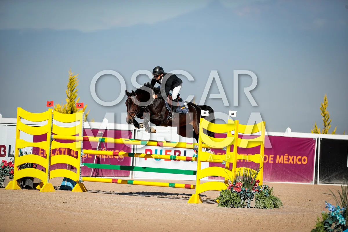 Foto de ANDRES GONZALEZ