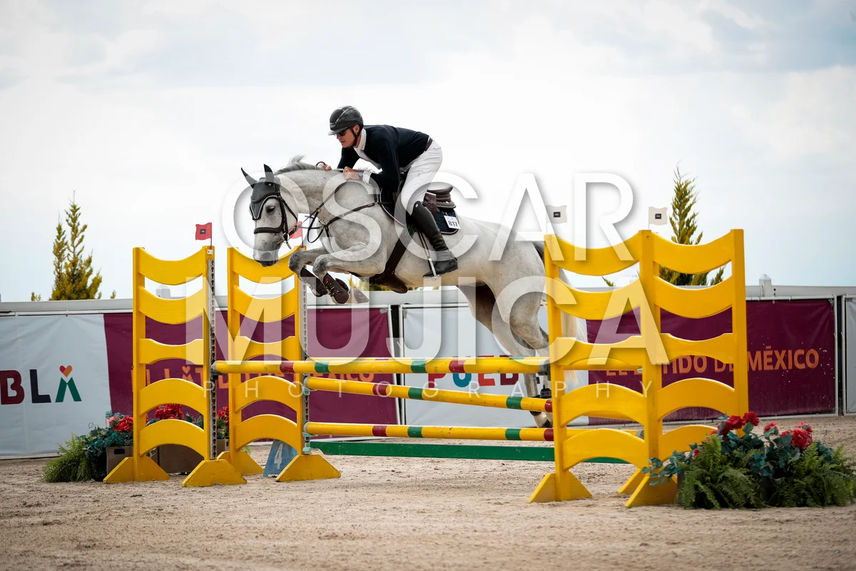 Foto de ANDRE VON