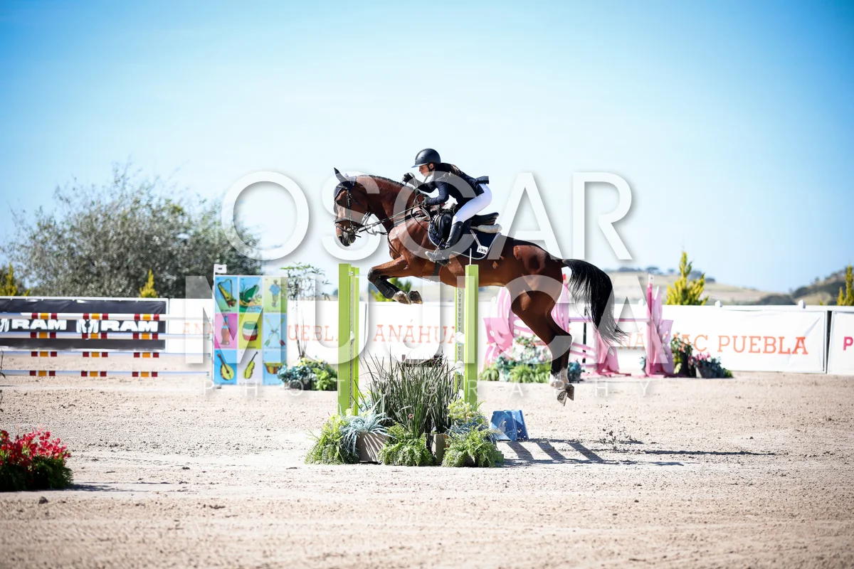 Foto de ANNIA BEATRIZ CARPIO