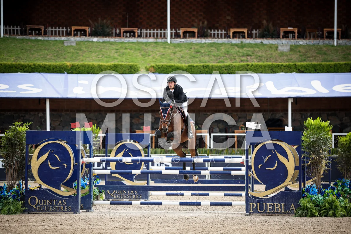 CRISTOBAL COLLADO