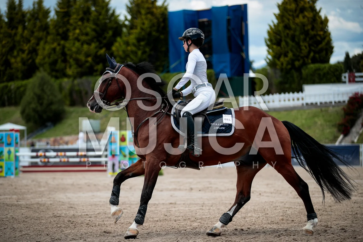 Foto de ELISA MARTIN DEL CAMPO