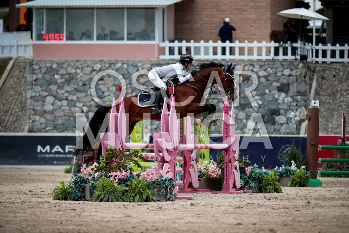 Foto de ELISA MARTIN DEL CAMPO