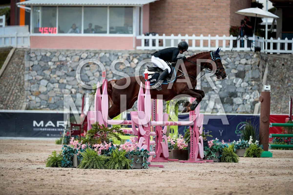 Foto de ELIZABETH DE LA VEGA