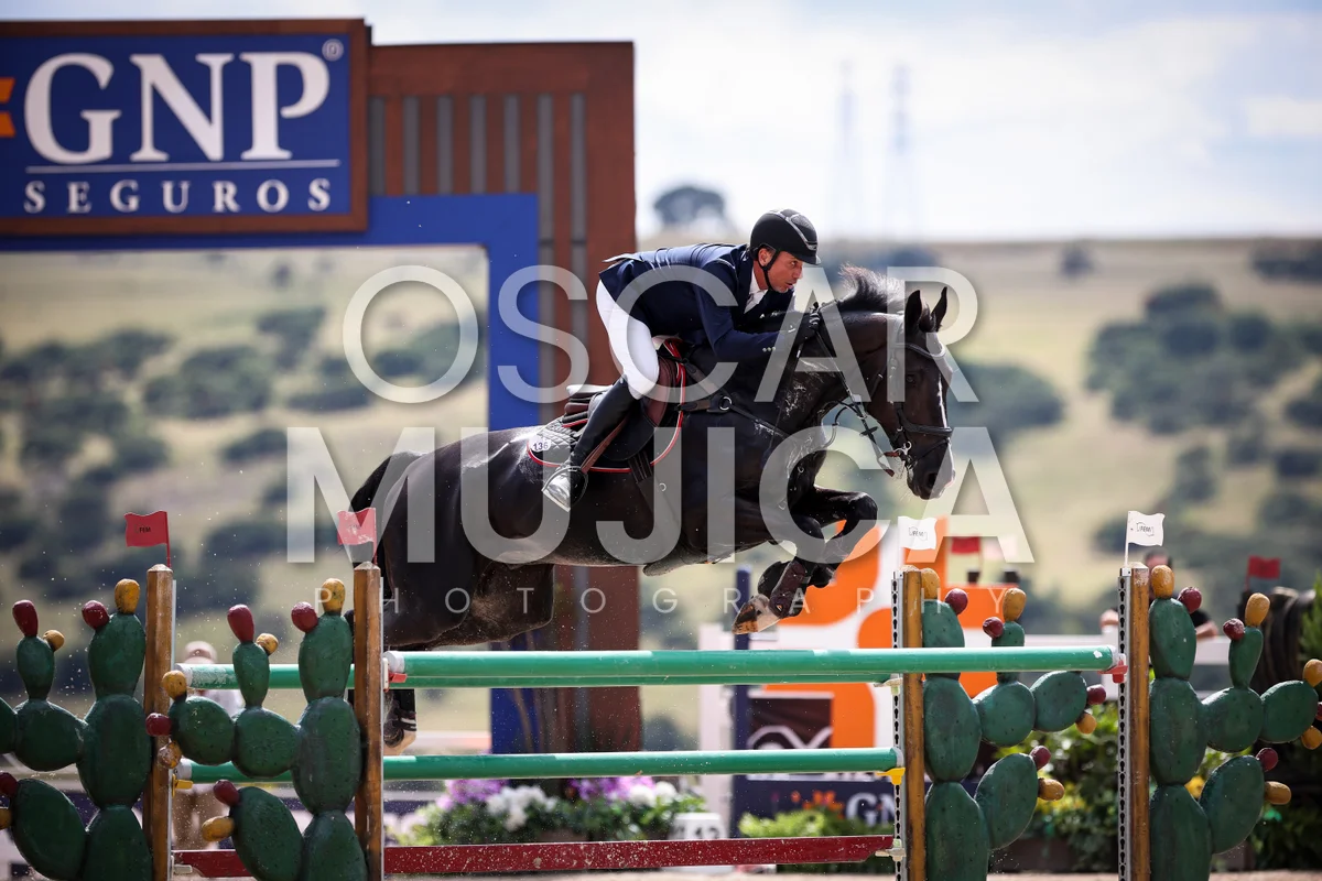 Foto de FERNANDO GODINHO