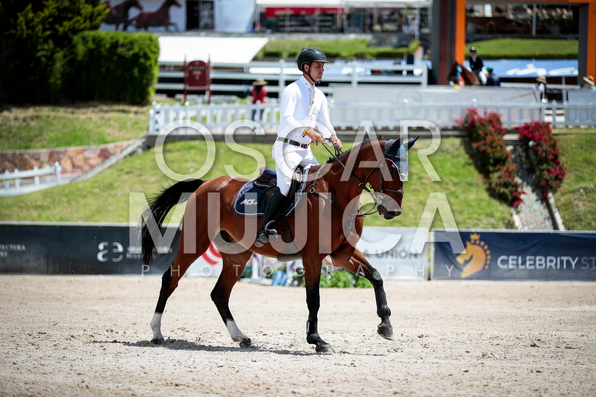 Foto de FRANCISCO LEONFORTE