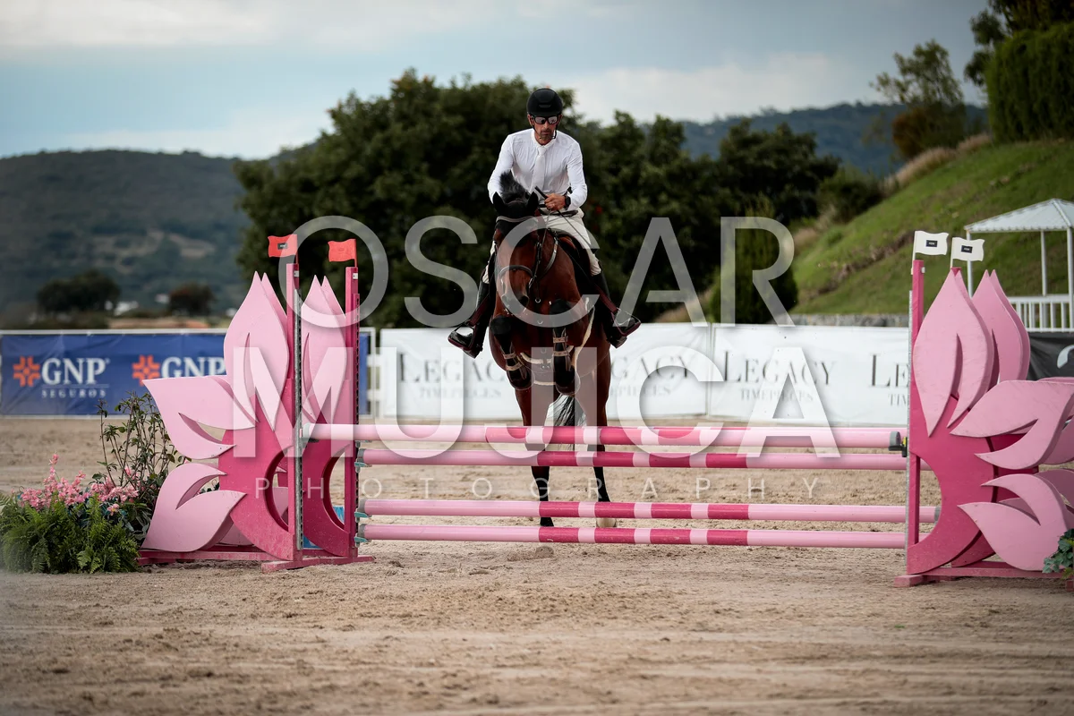 Foto de JAVIER BONZI