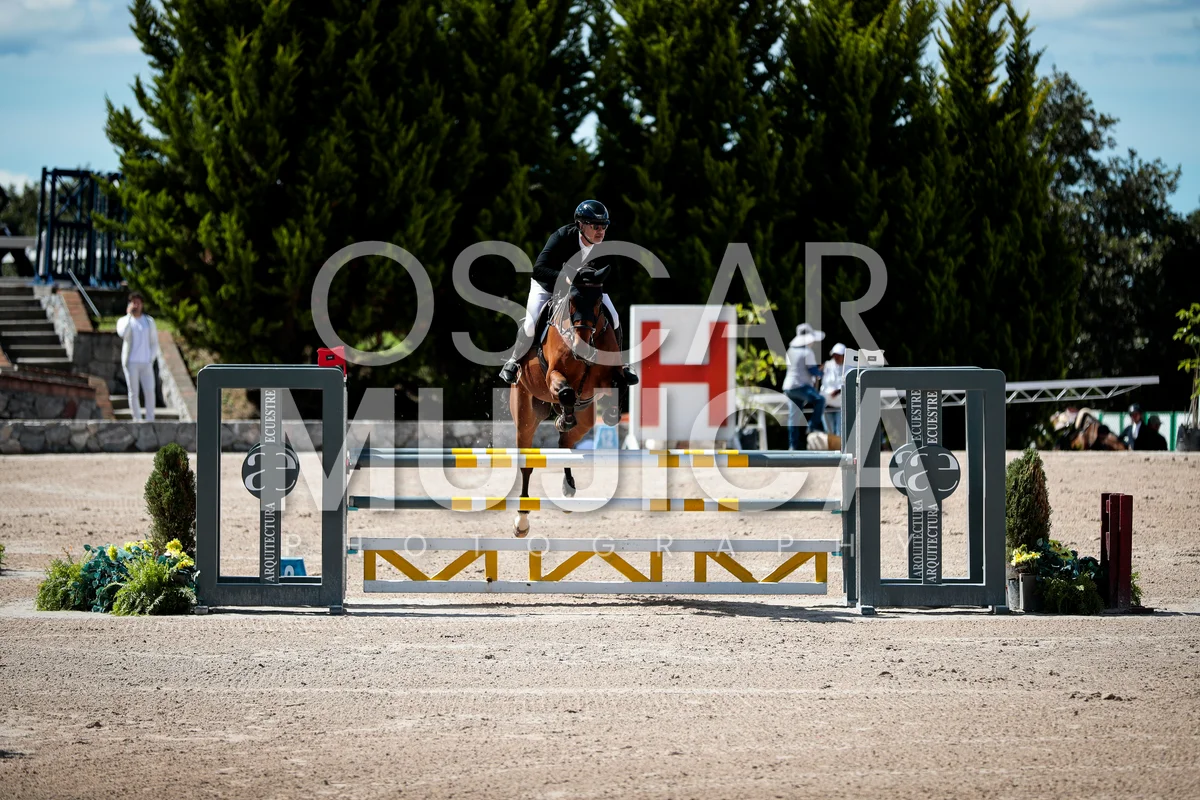 Foto de JAVIER DE UNANUE