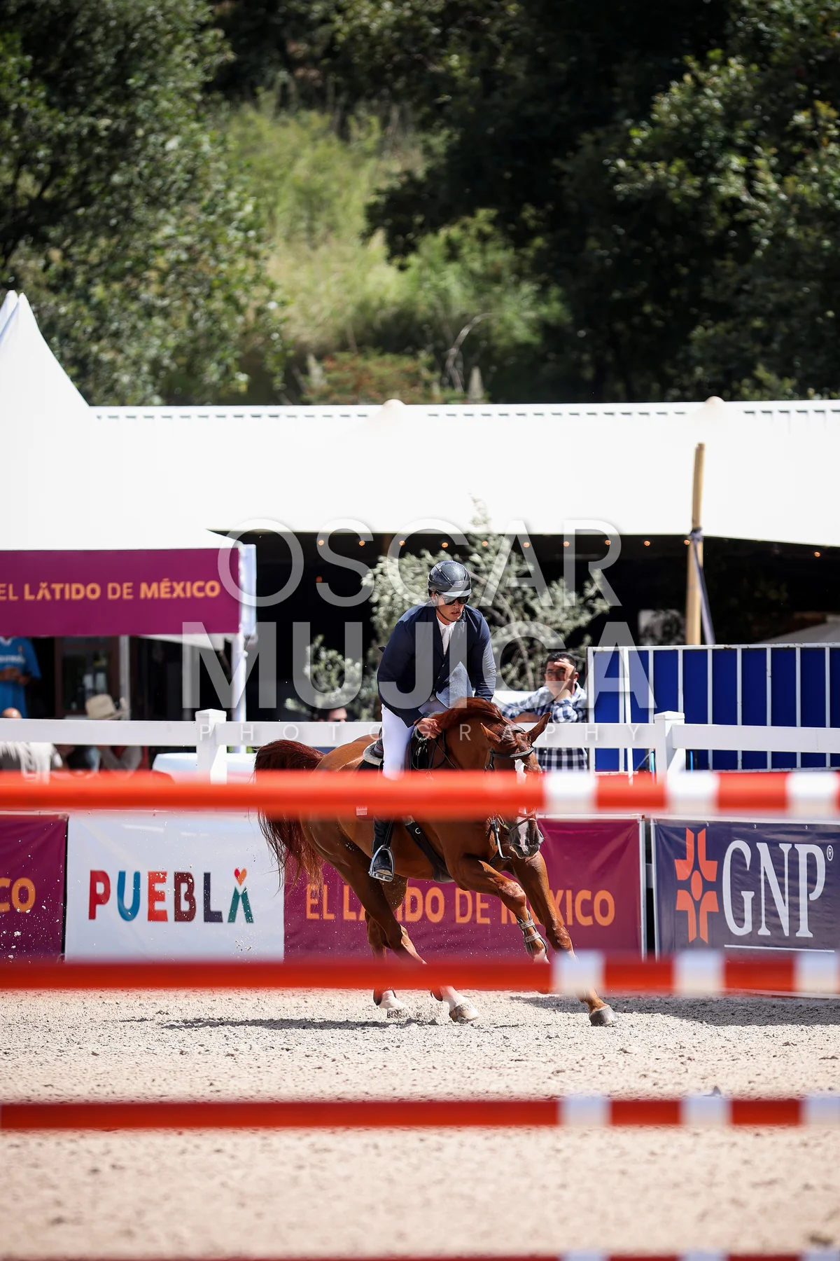 Foto de JOAQUIN ALFONSO