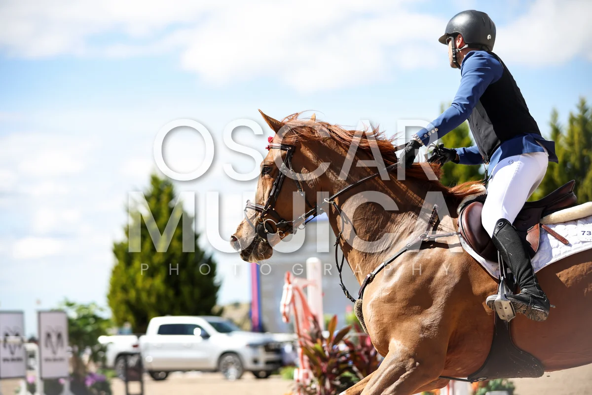 Foto de MARCO ALARCON