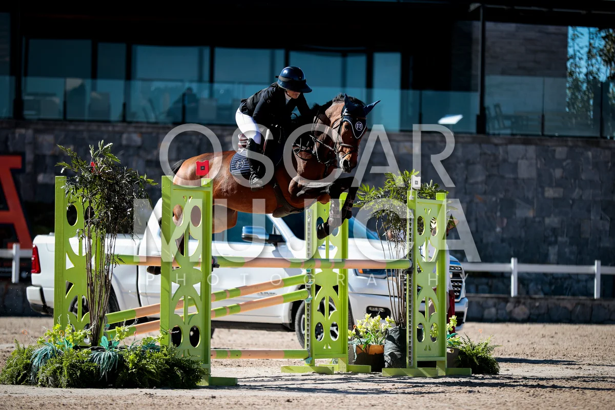 Foto de MARILLY MEYER
