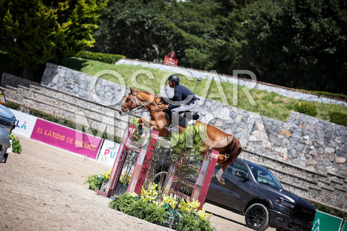 Foto de MARTIN JIMENEZ
