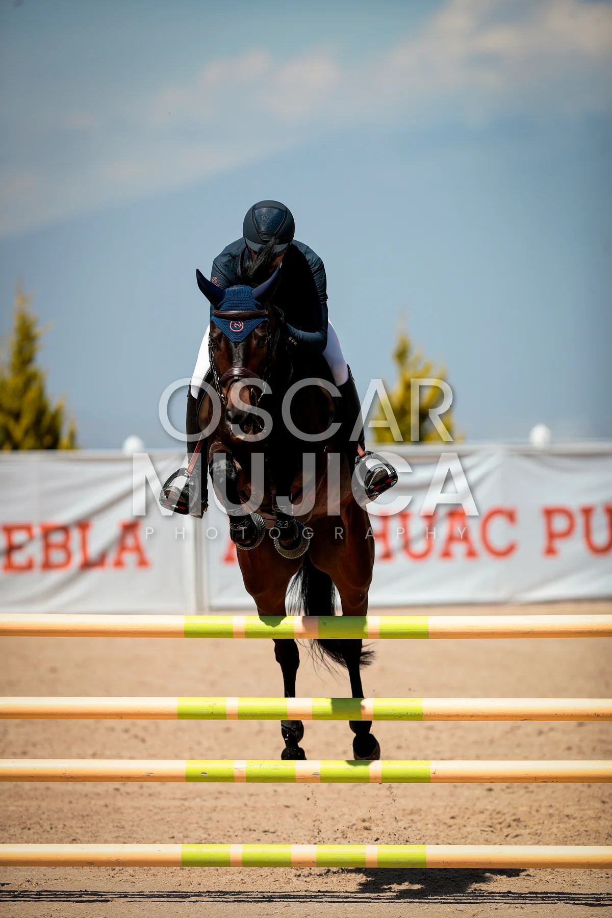 Foto de PATRICIO GUASCH