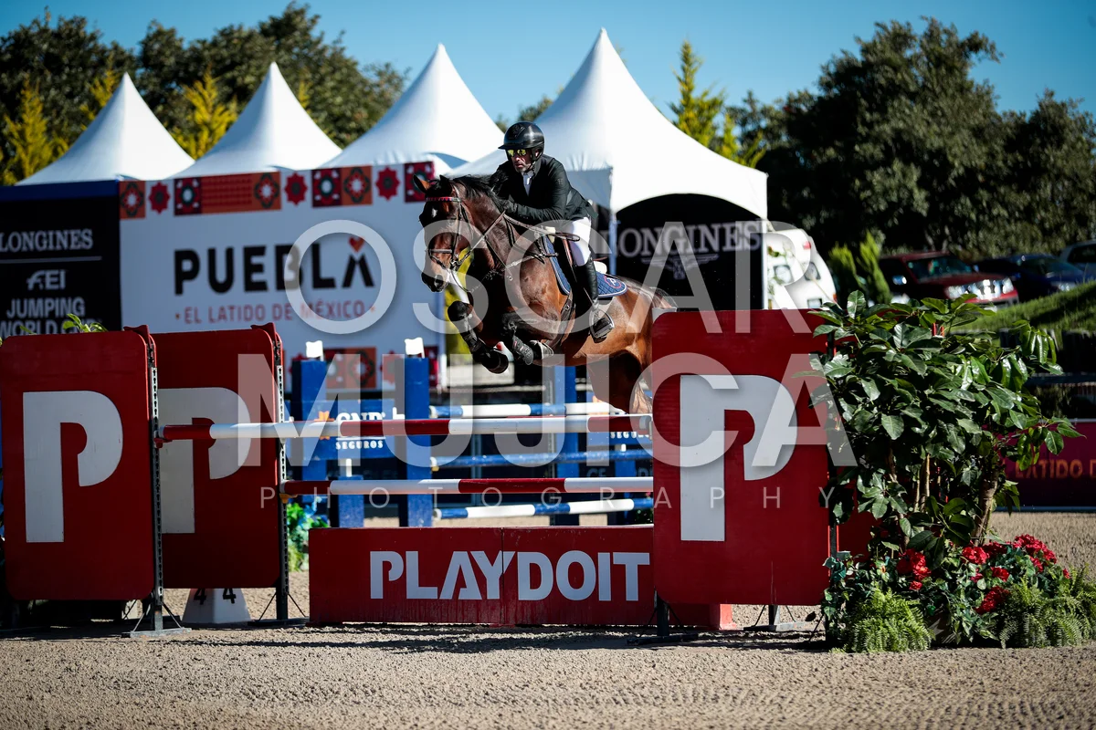 Foto de PATRICIO PASQUEL