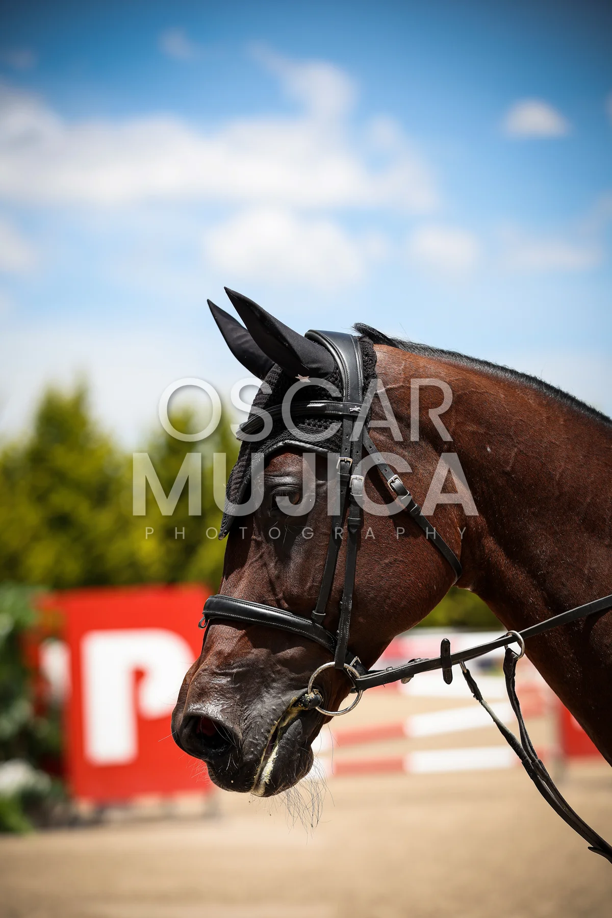 Foto de RIGOBERTO ALDANA