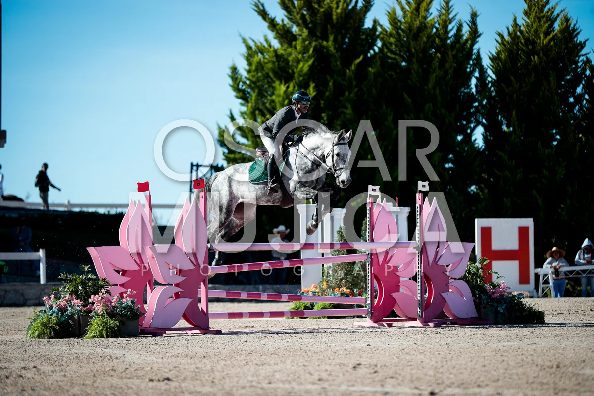 Foto de RIGOBERTO ALDANA