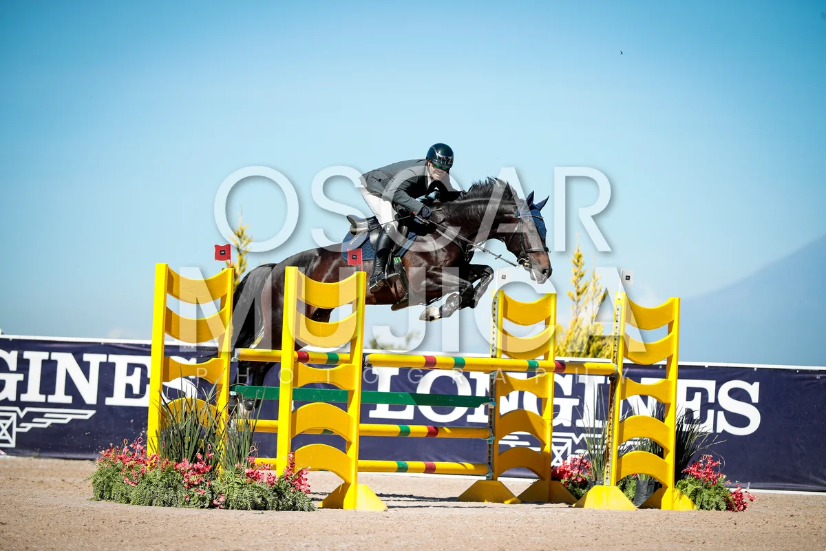 Foto de RIGOBERTO ALDANA