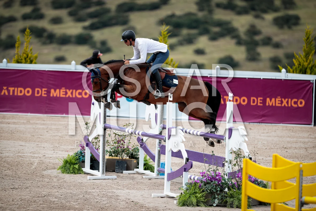 Foto de RODOLFO GOMEZ