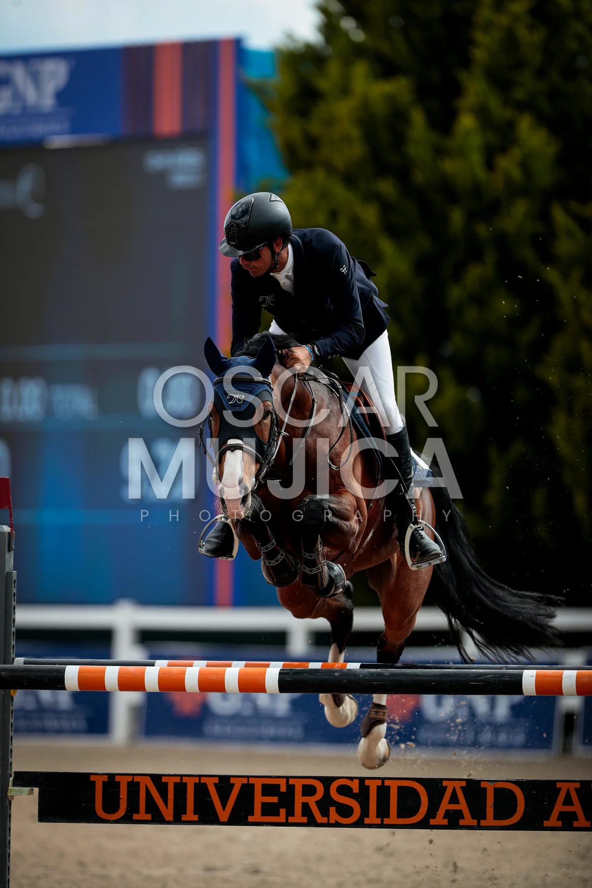 Foto de RODOLFO GOMEZ