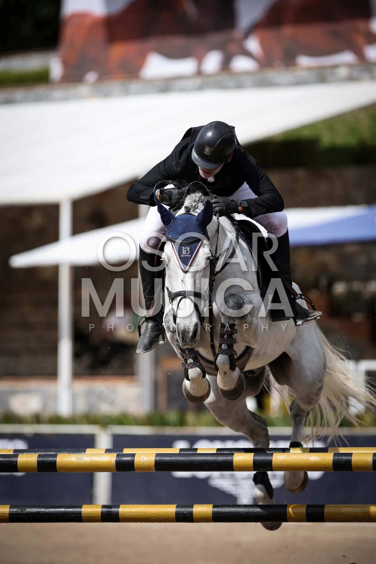 Foto de SALVADOR SESIN