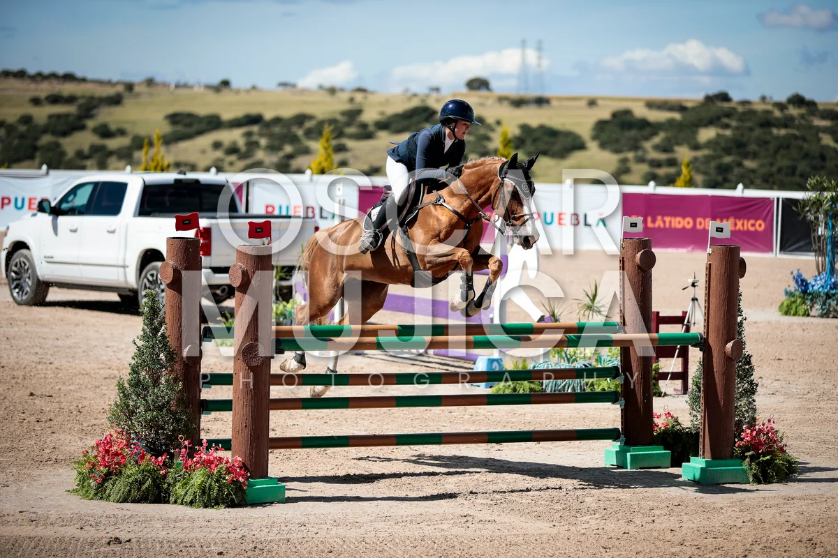 Foto de SIENNA HOLDSWORTH