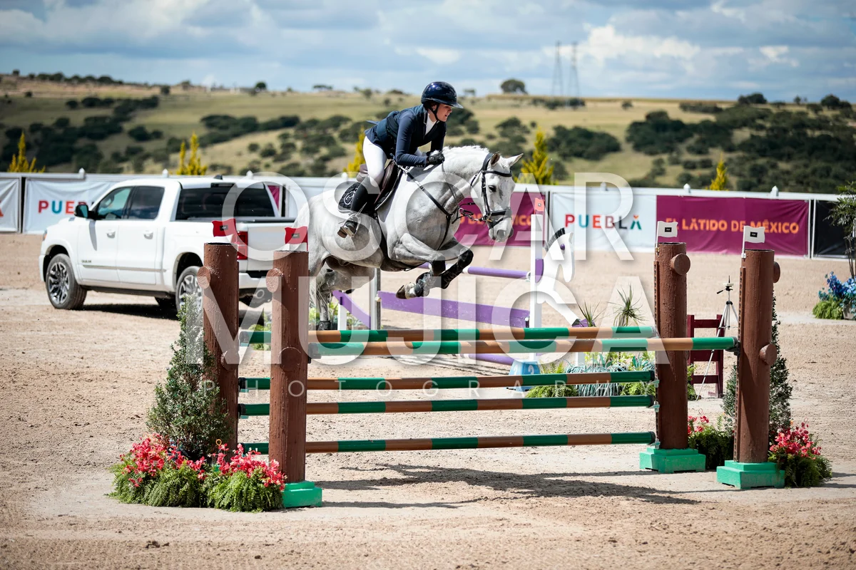 Foto de SIENNA HOLDSWORTH