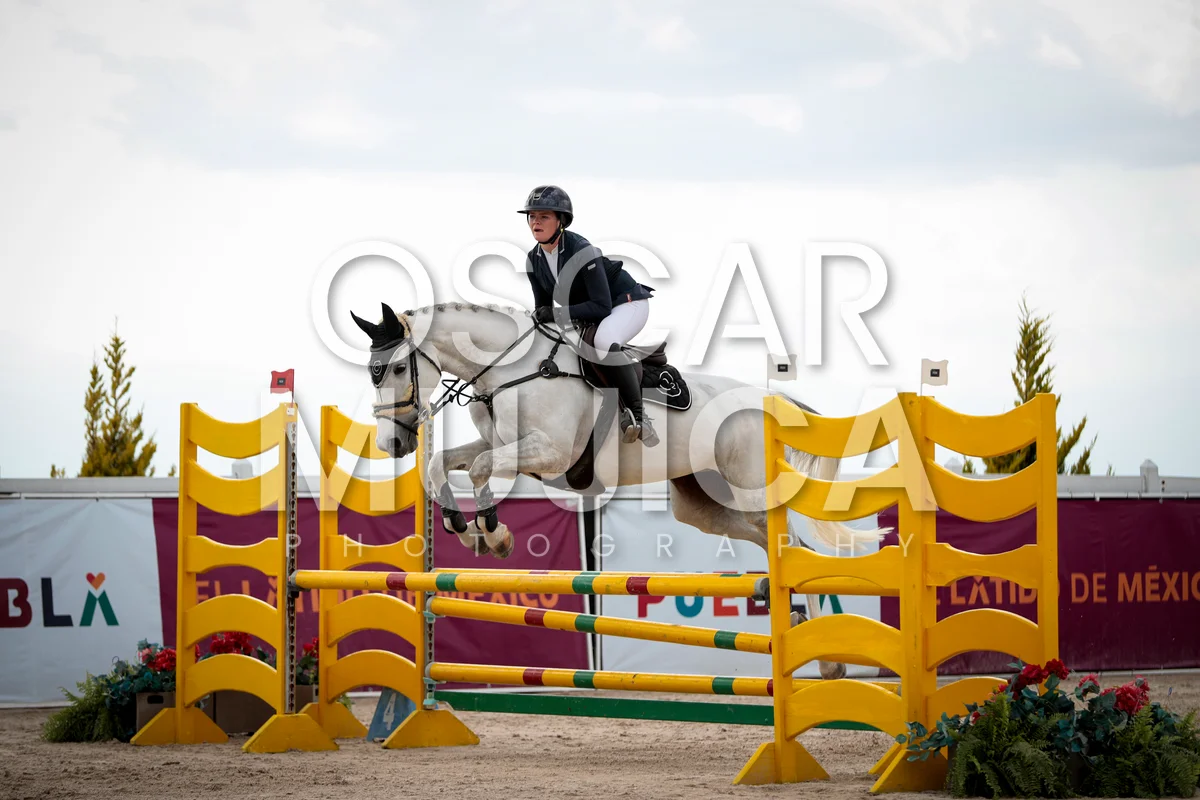 Foto de SIENNA HOLDSWORTH