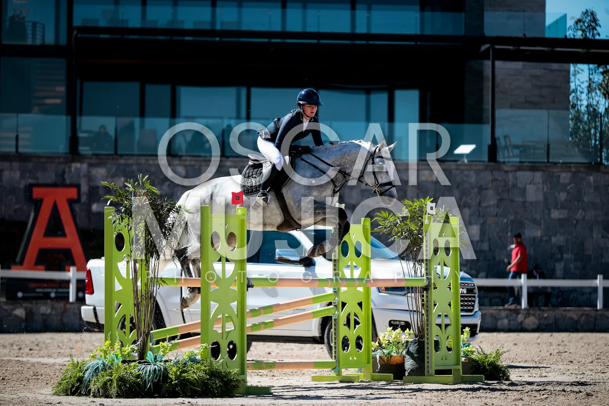 Foto de SIENNA HOLDSWORTH