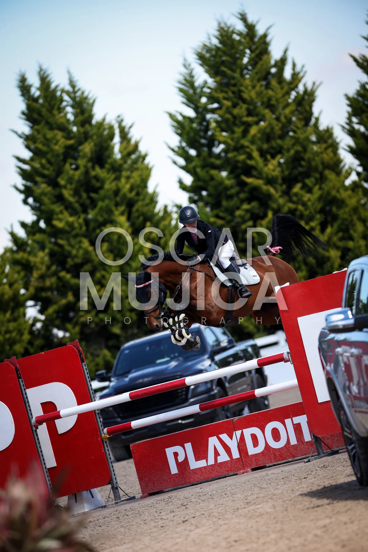Foto de TATIANA HOLDER