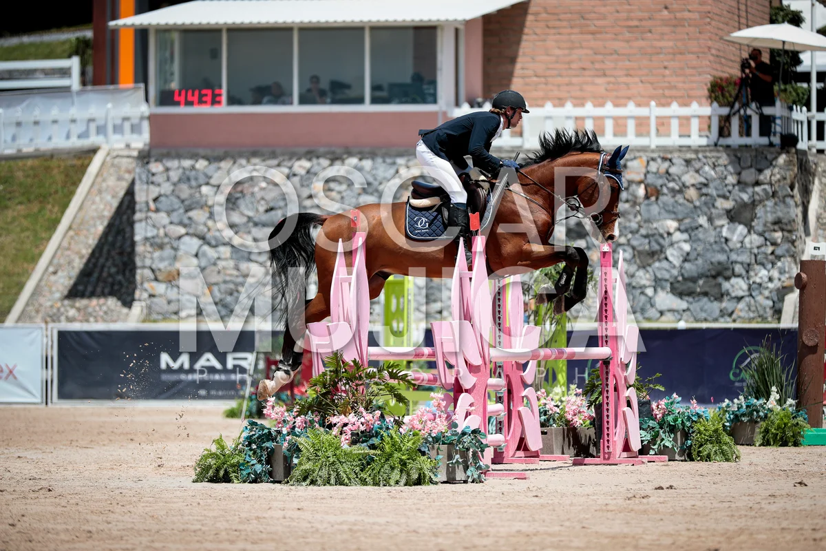Foto de THIAGO BROWN