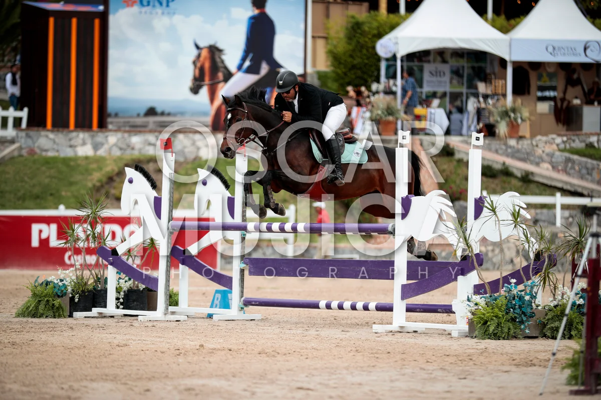 Foto de WYLDER RODRIGUEZ